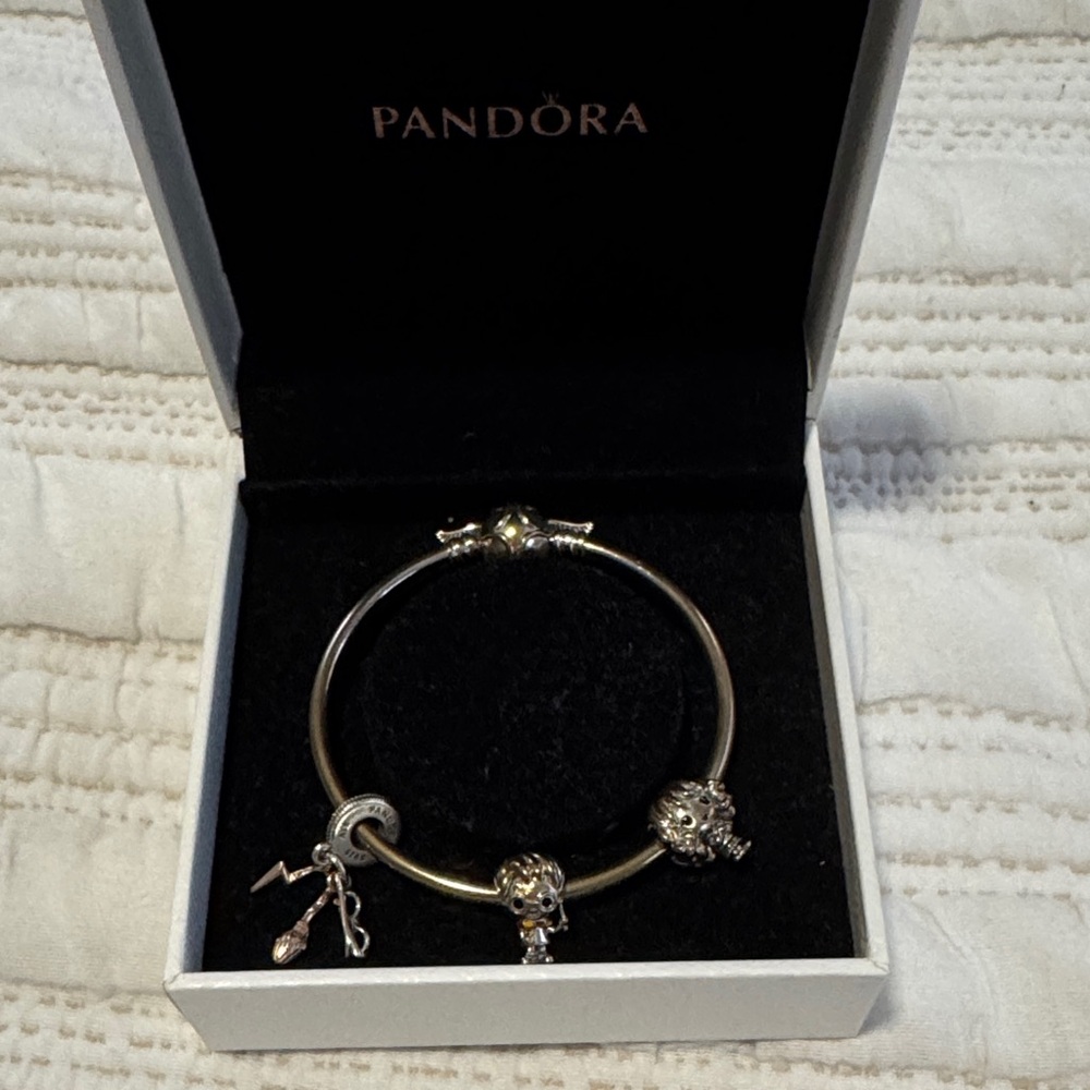 Pandora Silver Charm Bracelet with Harry Potter charms